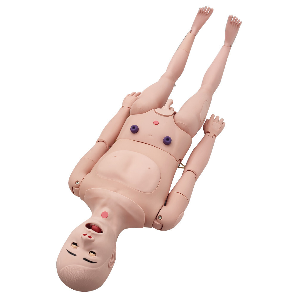 Patient Care Burn Teaching Model 24 Wound Modules Care NursingTraining Model
