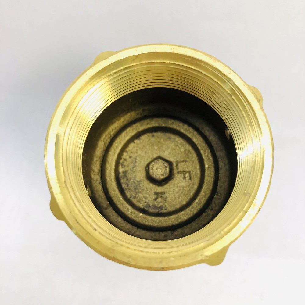 EVERFLOW 150T112-NL 1-1/2" IPS SPRING LOADED INLINE CHECK VALVE - BRASS