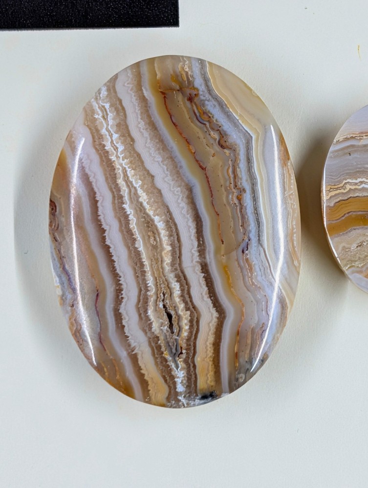 Oval Shape - Lace Agate - Design-Ready Set