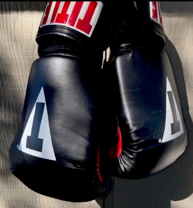 TITLE Boxing Black and Red Boxing Gloves Premium Sparring Training Equipment