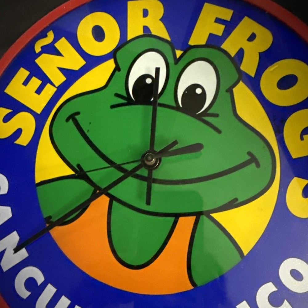Senior Frog Analog Clock Not Working