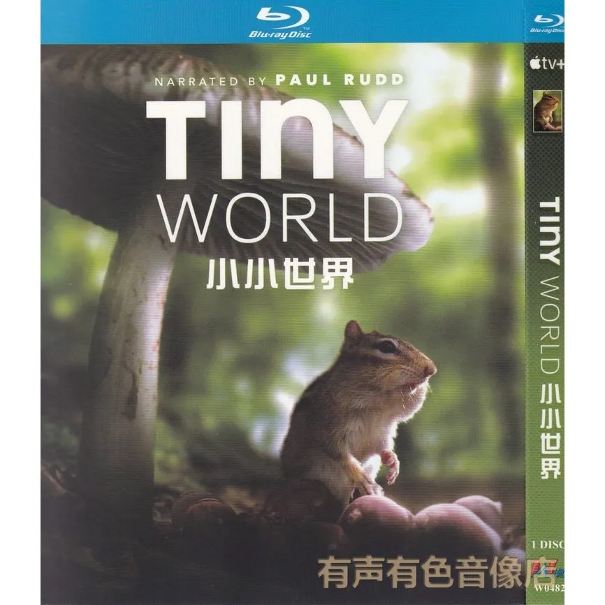 Tiny World  （2020）1-D