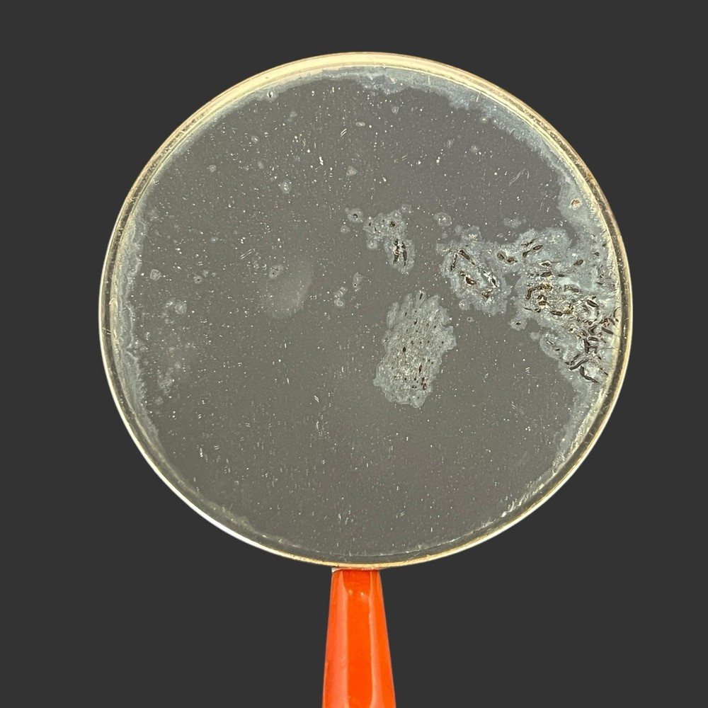 Antique Victorian Handheld Mirror With Bakelite Handle