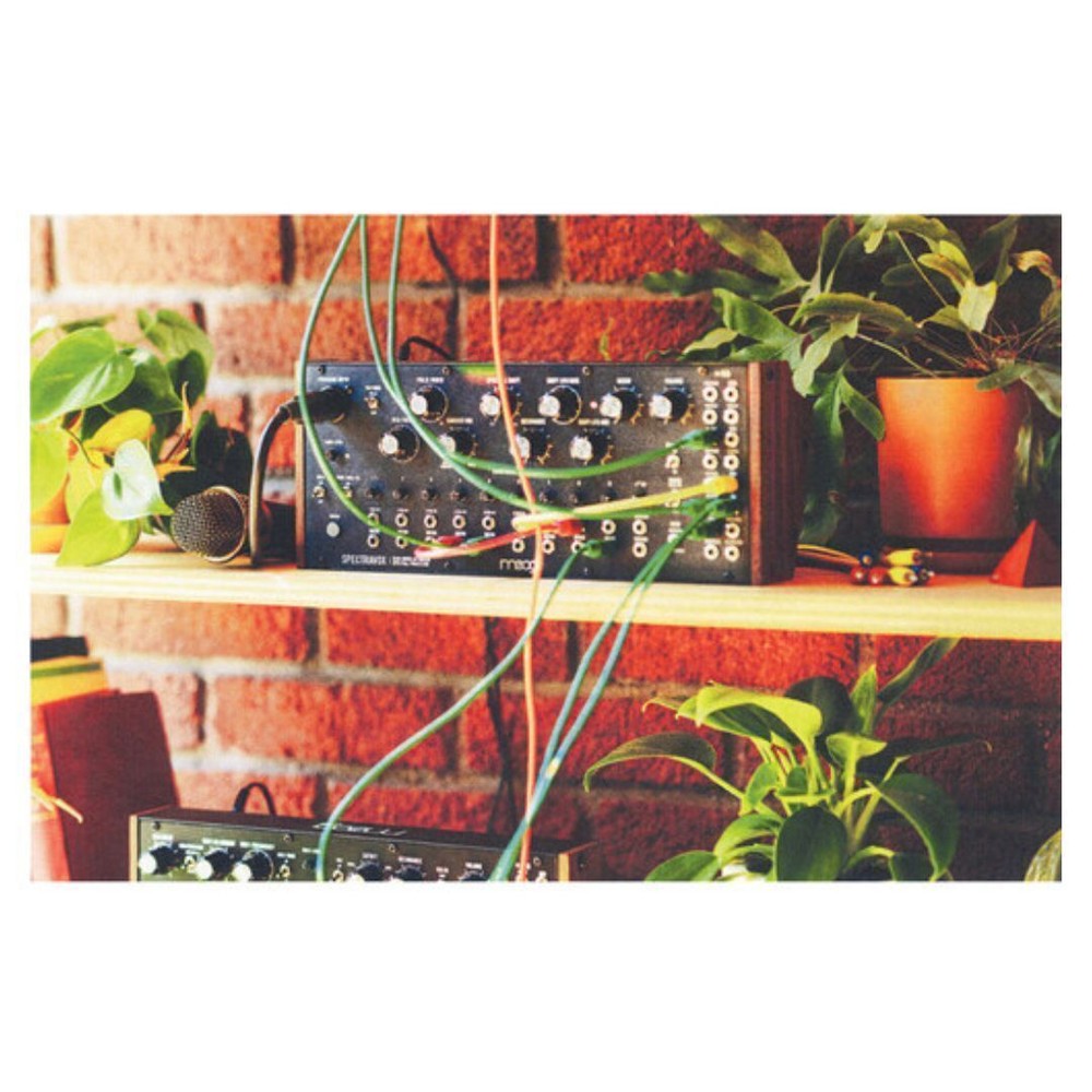 MOOG Spectravox Semi Modular Analog Spectral Processor