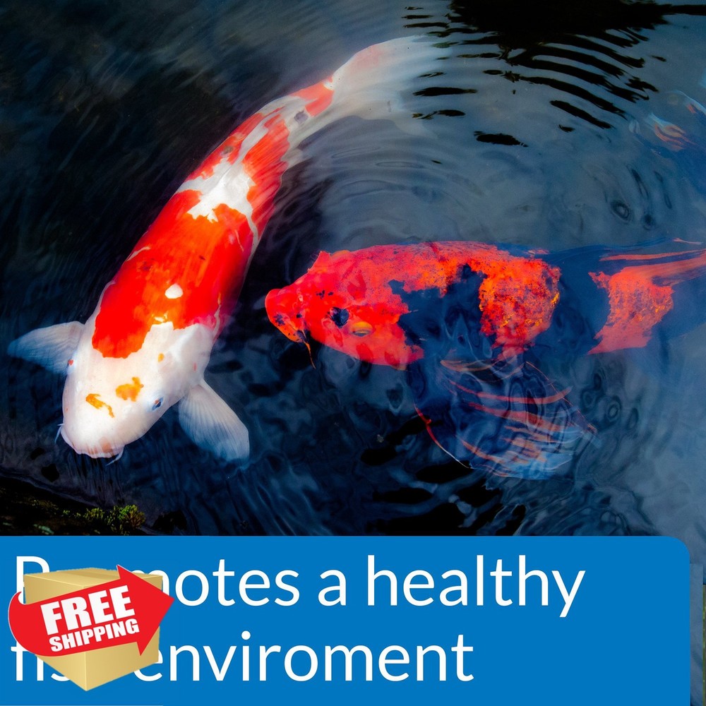 API Pond EcoFix Sludge Destroyer Water Clarifier 16oz