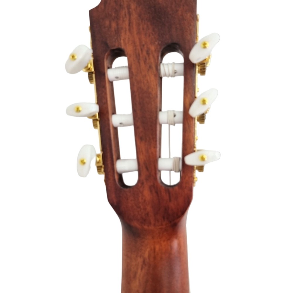 Haze Solid Top Thin Body Arched Back Classical Guitar - Matte C551BCEQSM