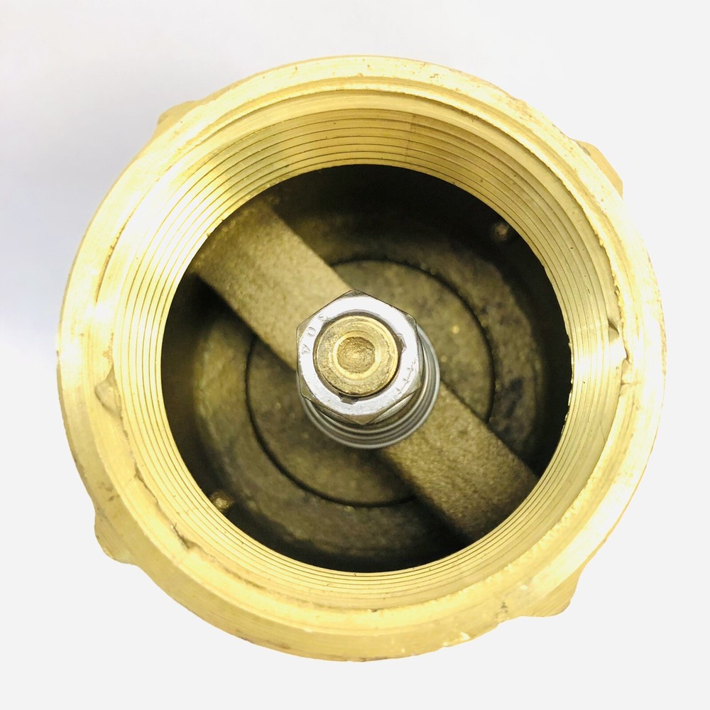 EVERFLOW 150T112-NL 1-1/2" IPS SPRING LOADED INLINE CHECK VALVE - BRASS
