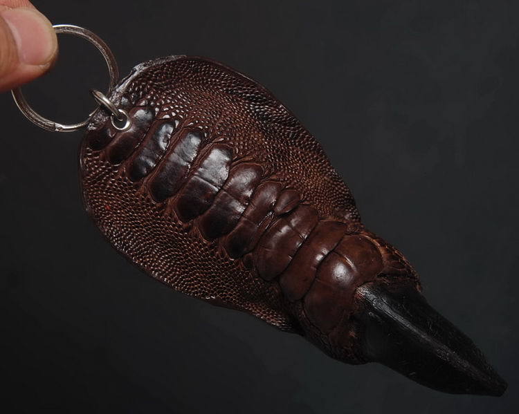 Artificial rearing Ostrich paw Chain
