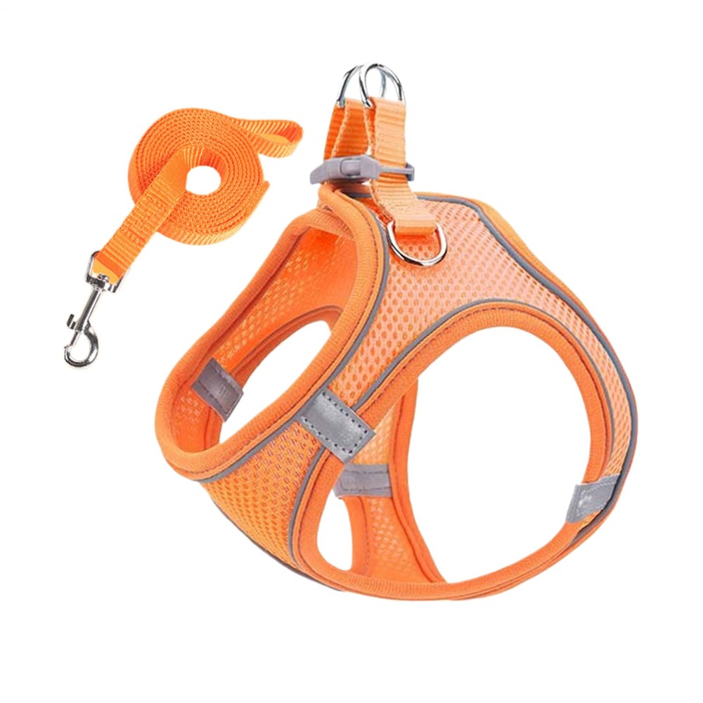 Dog Harness And Leashes Set Harness And Leashes Medium Size Dog
