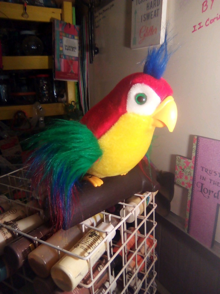 Colorful Parrot That Talks