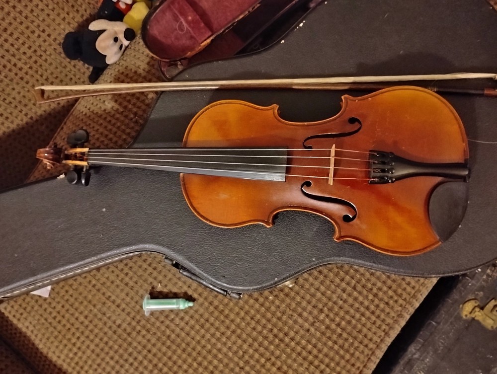 Violin