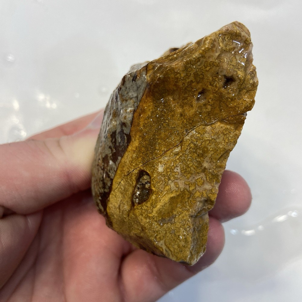 Calico Agate Crazy Lace Agate Variation Rough Stone 8.10 Oz