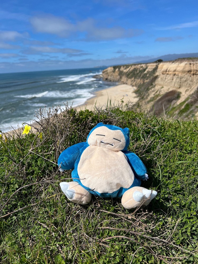 Snorlax Chalk Bag