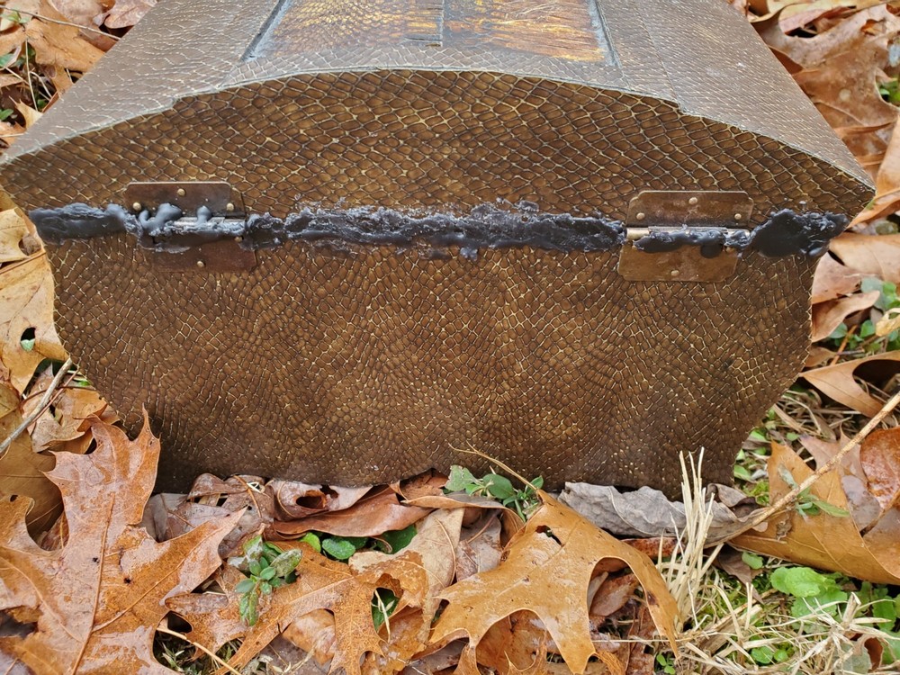 Real Snakeskin Covered Dybbuk Box