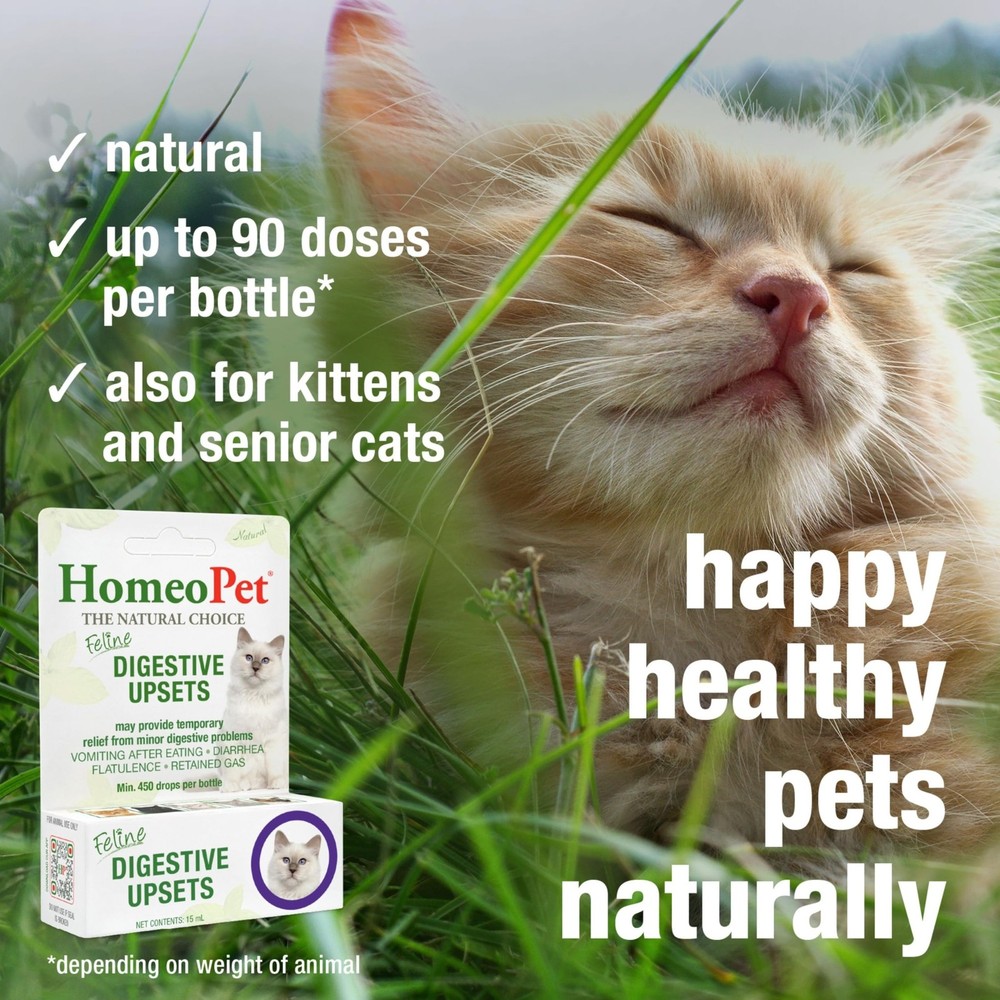 Natural Cat Digestive Support for Upsets - 15ml Safe Solution