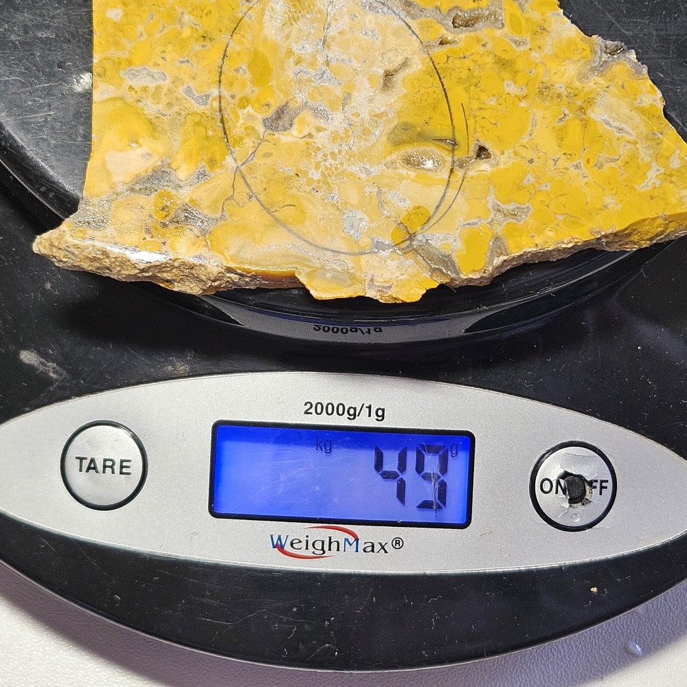 Yellow Jasper Lapidary Slab 49 grams