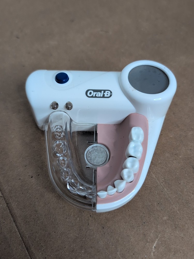 Oral-B 3D Demo Teaching Tool