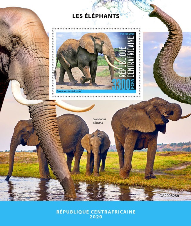 Elephants