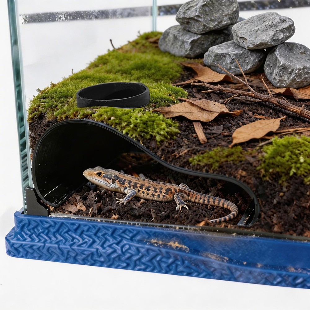 Black Reptile Underground Cave Viewing Hide Lizard Hognose Snake Gecko
