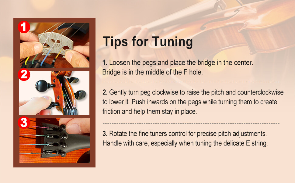 4/4 Violin Set with Shoulder Rest and Extra Strings for Beginners and Adults