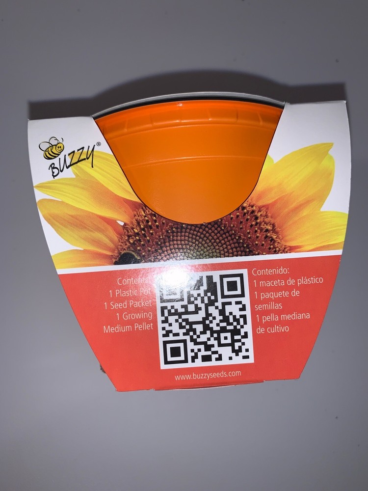 Buzzy Sunflower Growing Kit New #3050