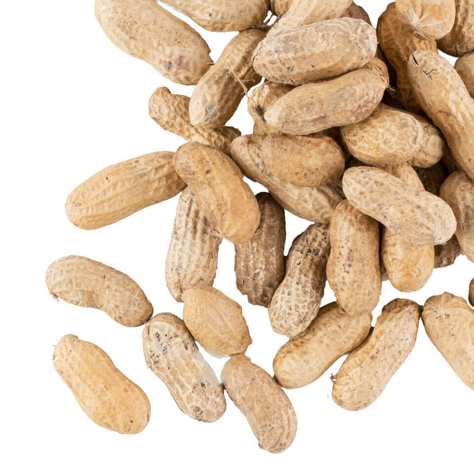 Salted Roasted In-Shell Peanuts (select size below)