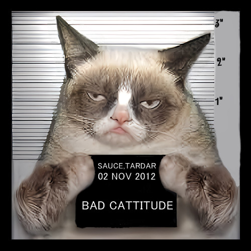 Bad Attitude Grumpy Cat Refrigerator Fridge MAGNET