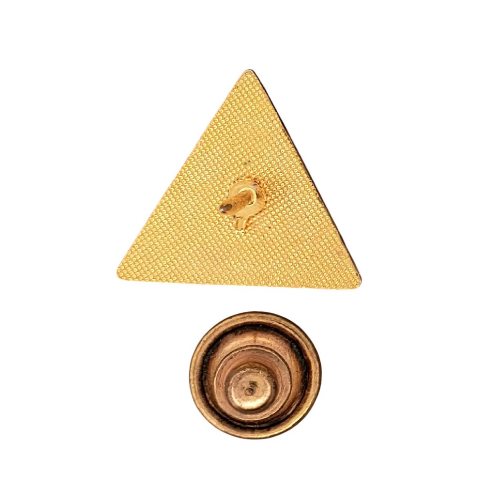 Association Surgical Technologists AST Triangle Lapel Pin Medical