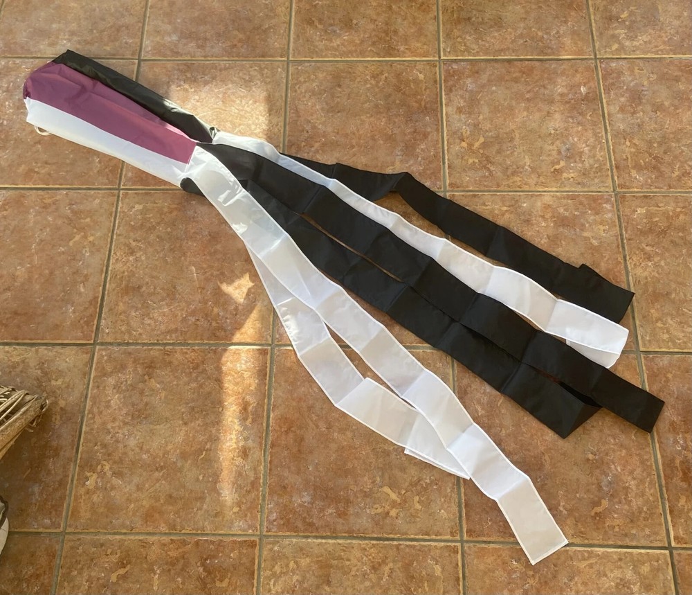 Asexual LGBTQ+ Pride 60inch Nylon Windsock