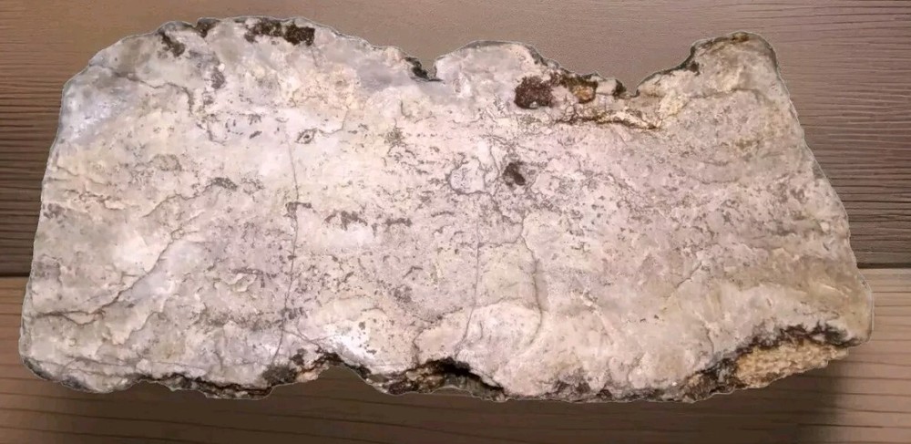 Petrified Wood Opalized Rough AZ 2 lbs 8 oz