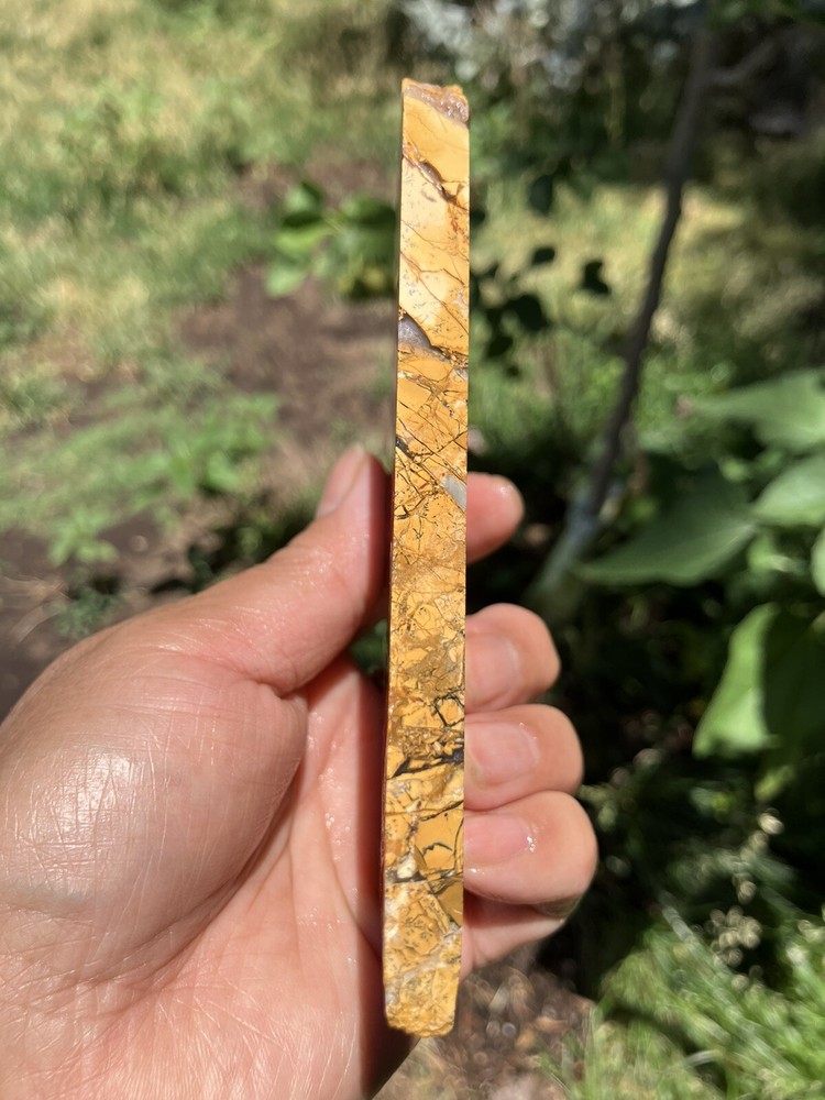 Brecciated Gold Jasper Slab