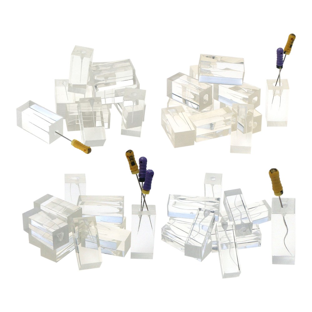5pcs Dental Endodontic Root Canals Practice Model Endo Training Block Clear