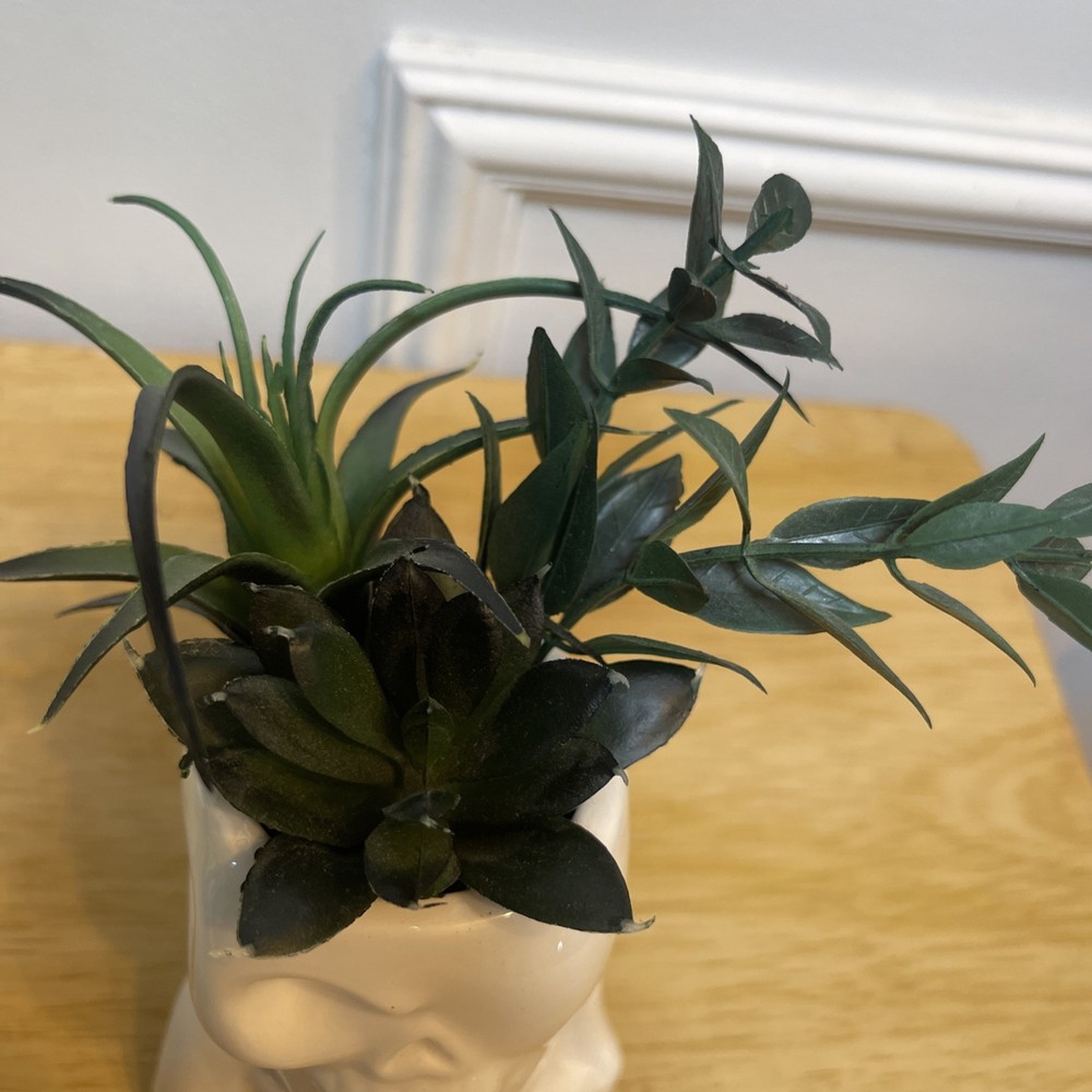 Skull Theme Planter With Artificial Succulents House Decoration Pre-Owned