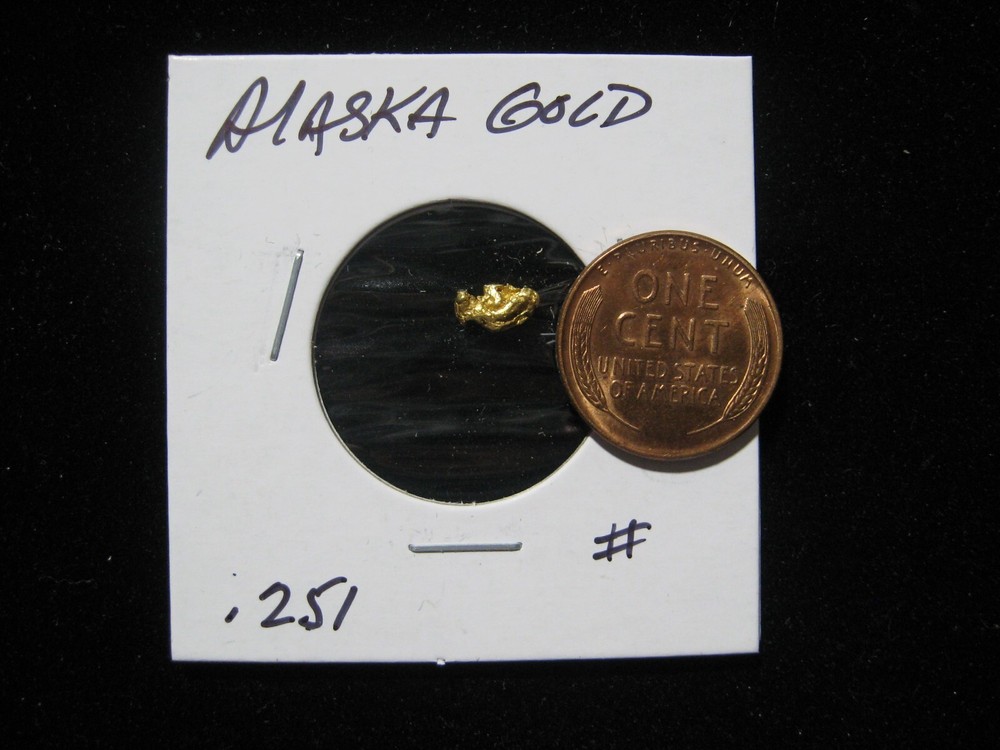 ALASKA GOLD NUGGET .251 GRAM