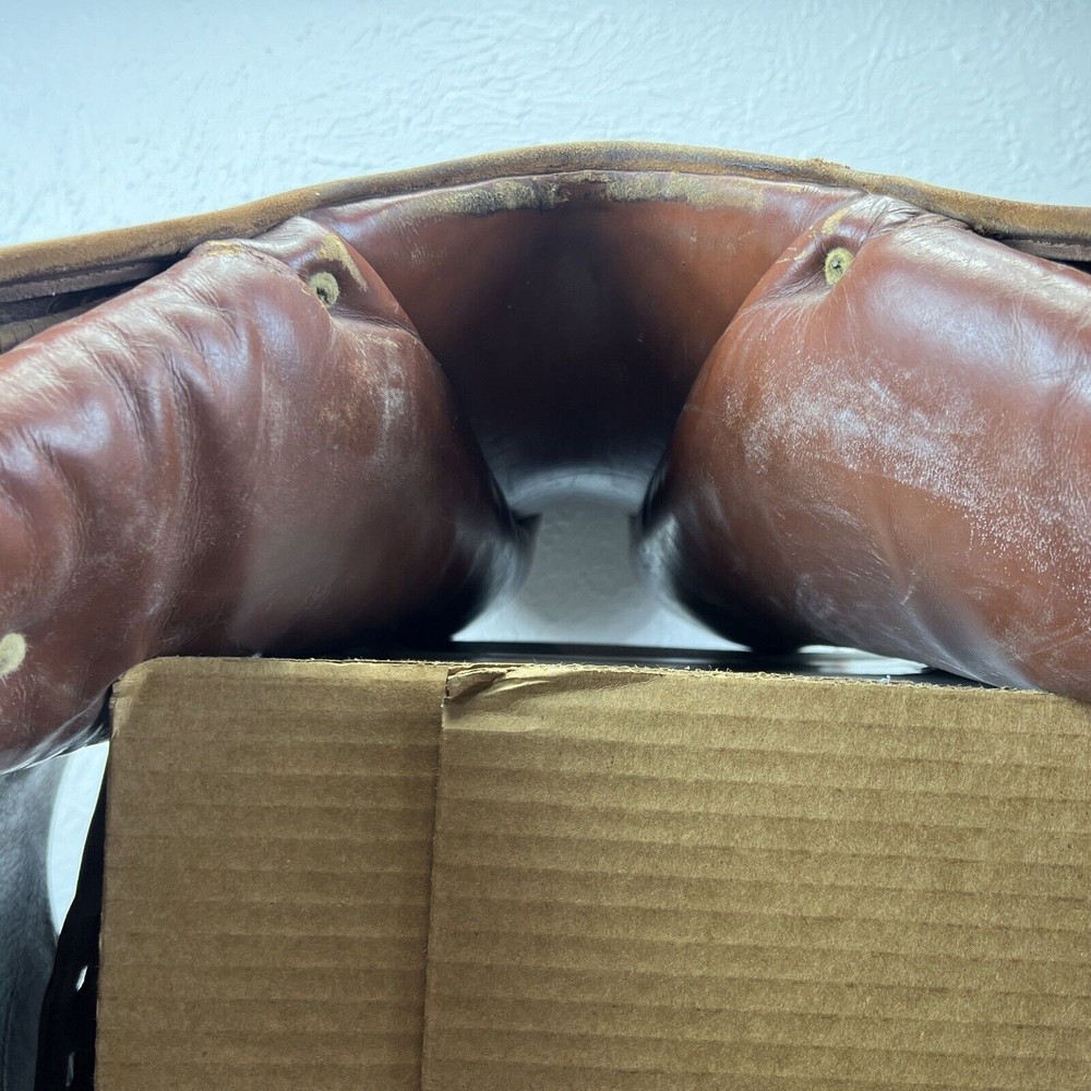 Dominus Medium Tree Dressage Saddle Brown