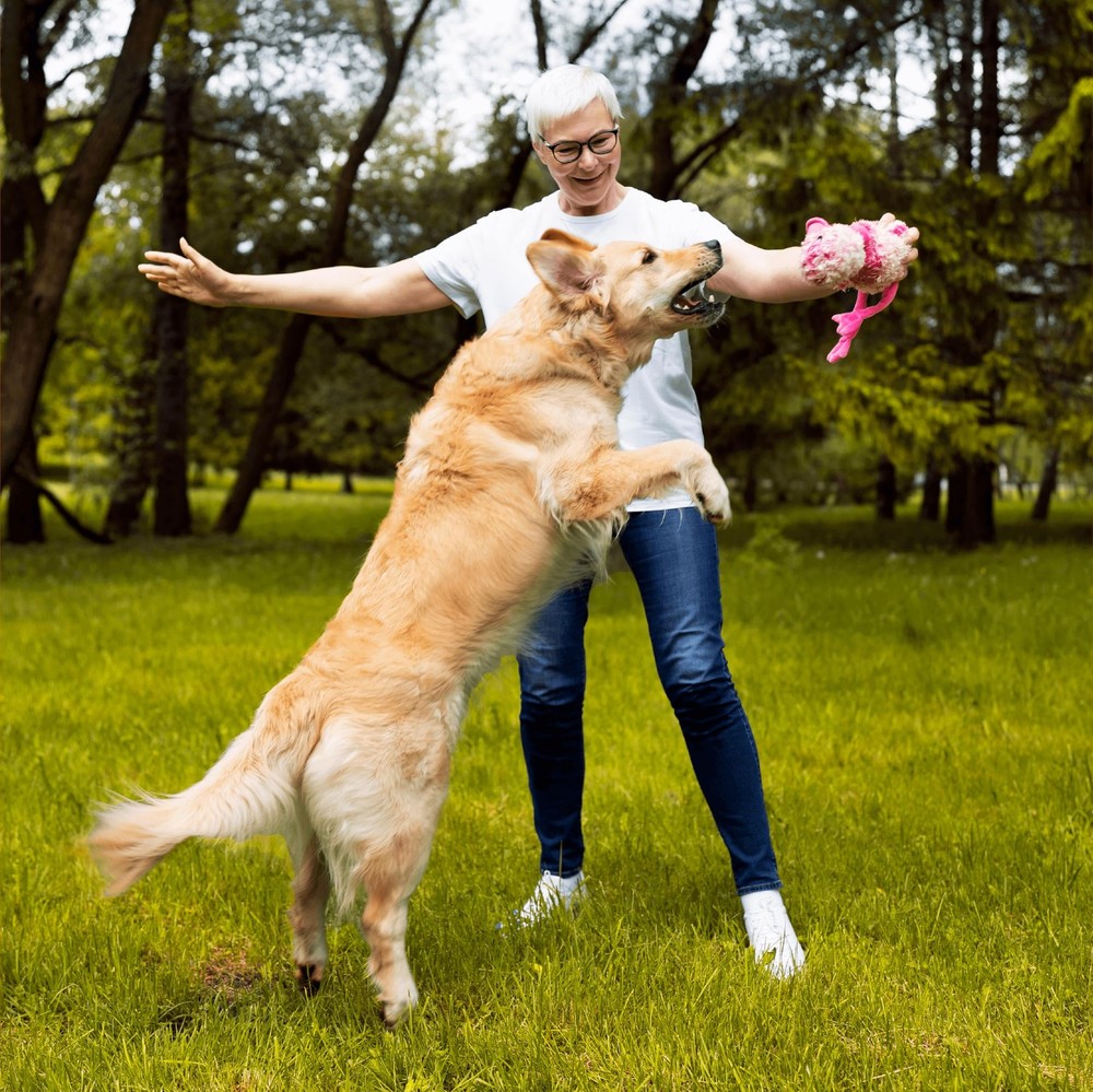 G-Max Joint Support for Dogs - Maximum Strength Hip & Joint Supplement with G...