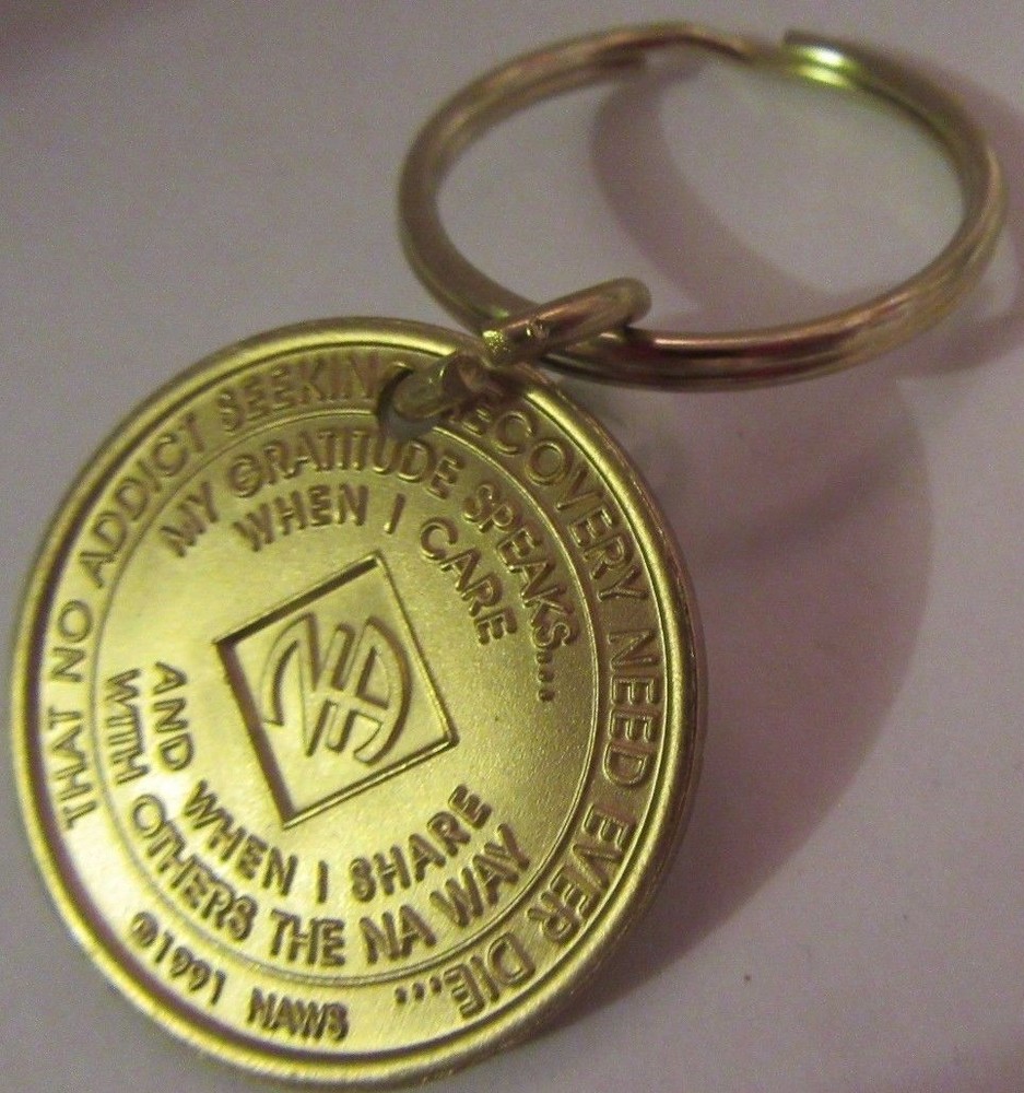 NARCOTICS ANONYMOUS NA KEY TAG 6 YEAR Keyring medallion Serenity Clean