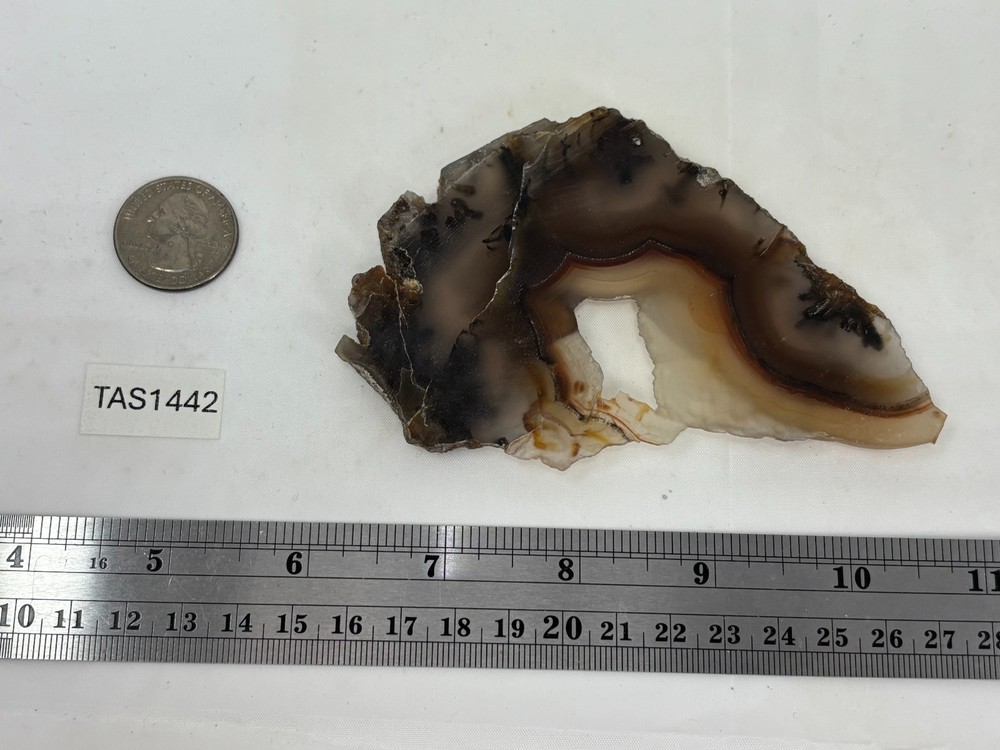 Turkish Stick Agate slab Cabbing Lapidary Collecting Combo Ship aval