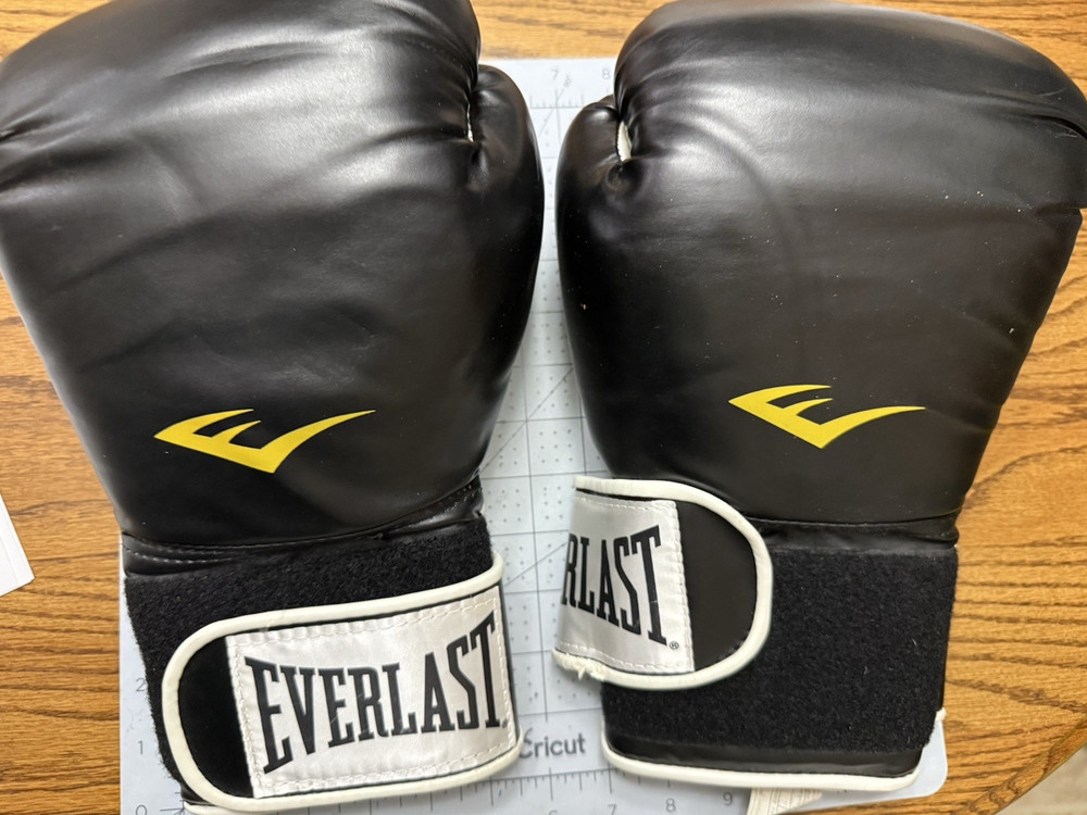 Everlast Boxing TA-16 Gloves