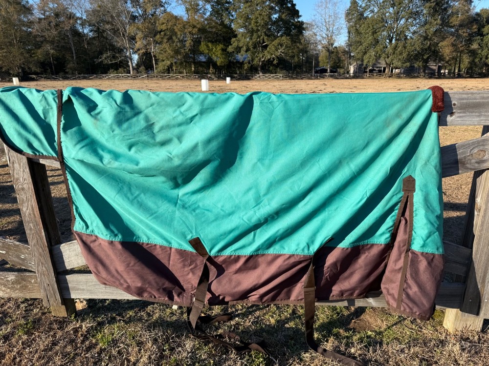 horse blanket