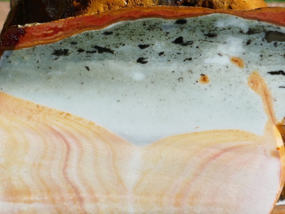 TCR Polychrome Jasper *Rough Slab 85 grams – Orb Pattern | Madagascar