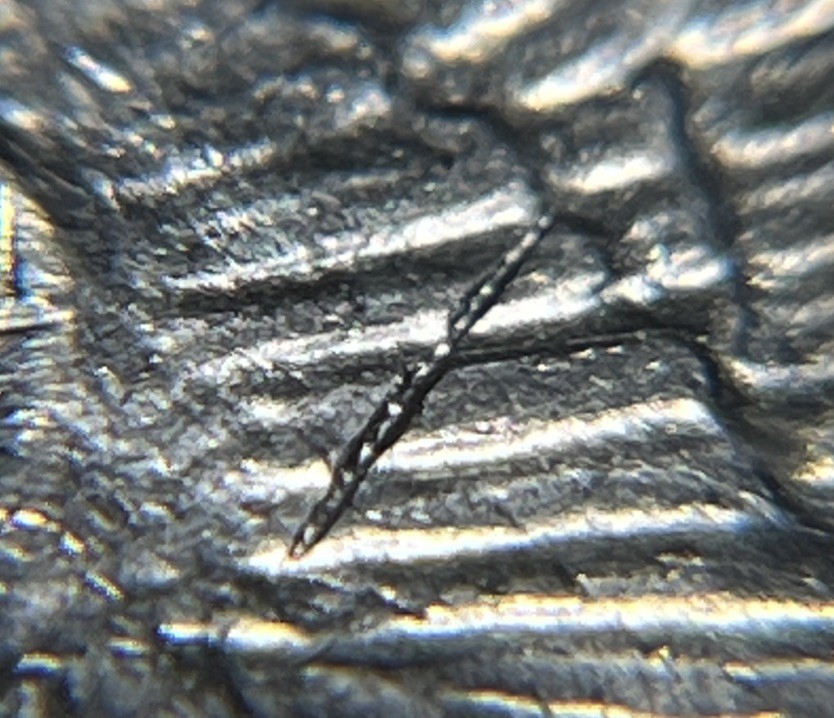 1972 P Eisenhower Ike Dollar Type 2 Die Crack Errors Wounded / Speared Eagle