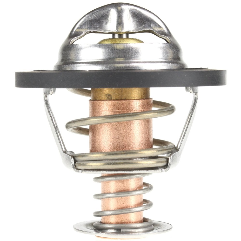 267-160 Thermostat