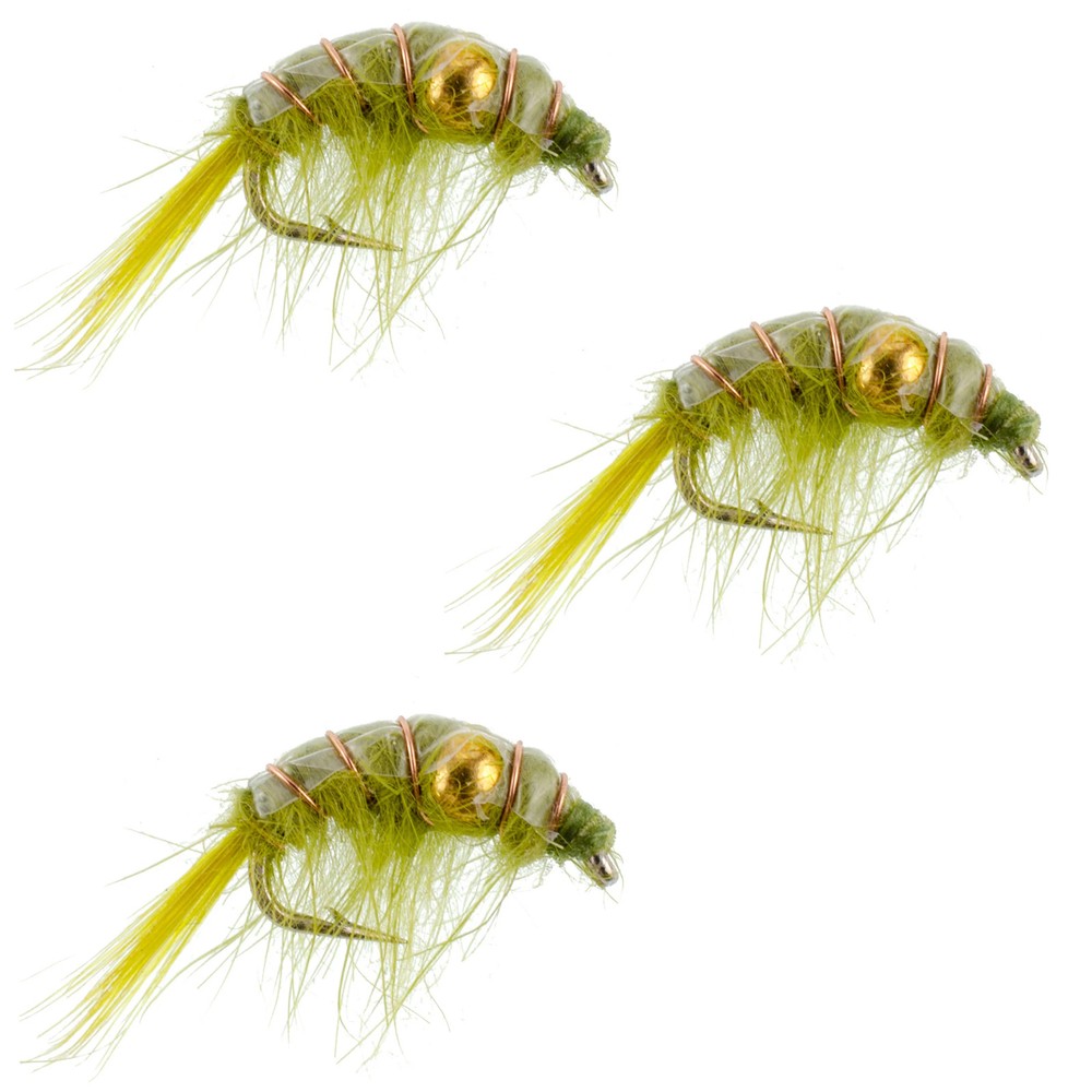 3 Pack Olive Beaded Shrimp Scud Pattern - Size 16