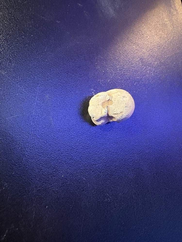 Dug Civil War Relic