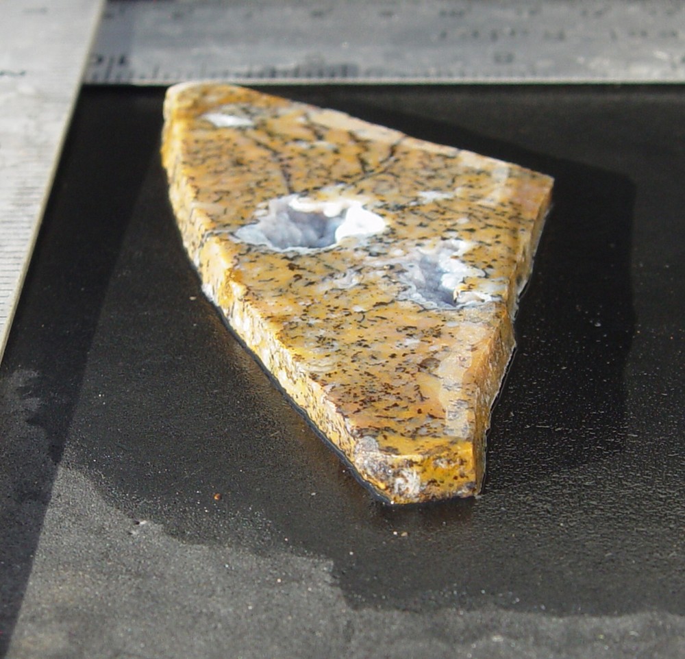 Cheetah Agate Lapidary Slab T988