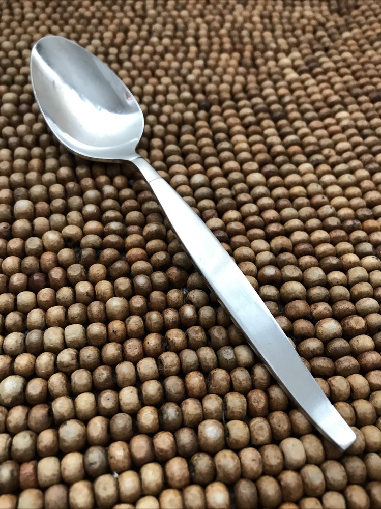 Oneida Community Stainless Satin Flat Tip FROSTFIRE Teaspoon 6”