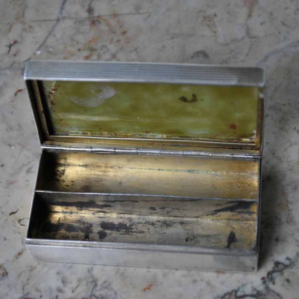 Enameled Silver Box, Chinese Decor, 20th Century