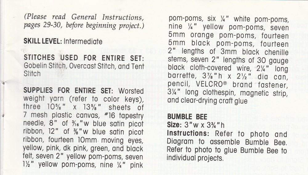 Bee Barrette,Bracelet,Tissue Cover,Picture Frame +- Plastic Canvas Pattern ONLY