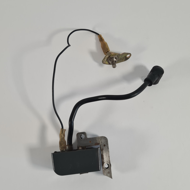 Echo GT-2000 Genuine OEM Ignition Coil & Kill Switch (Tested)